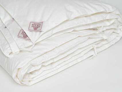 Одеяло German Grass Alliance Down&Down Grass всесезонное/всесезонное Light 220х240