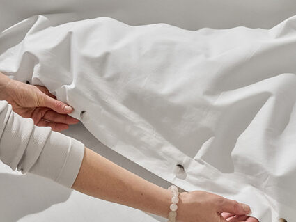 Комплект постельного белья Luxberry Вечерние стрекозы Евро