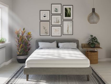 Матрас Evita Visco Gold 160х190