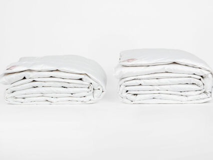 Одеяло German Grass Silver Down Grass всесезонное 200х200