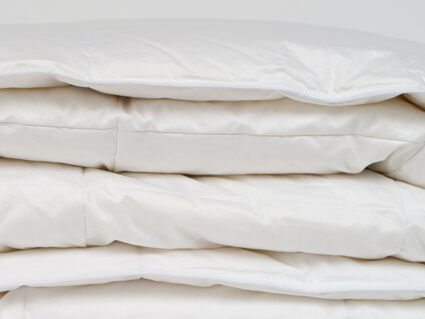 Одеяло Nature’S-Natura Sanat Воздушный пух теплое 220х240