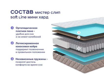 Кровать Димакс Лероса с п/м + матрас Мистер Слип Soft Line Мини Хард 1425