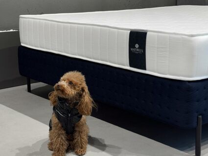 Матрас Materlux Aventino Multi 110х186