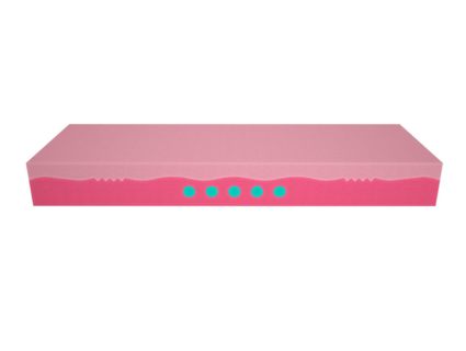 Матрас Mr.Mattress BioGold Hard 574