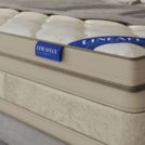 Матрас LineaFlex Divine 42 c топпером 200х200